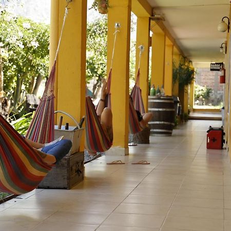 Hostel Lo De Chichi Cafayate Zewnętrze zdjęcie